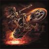 Heart Rock Original Anne Stokes Hellrider Flag, Fabric, Multi-Colour, 110 x 75 x 0.1 cm view 1