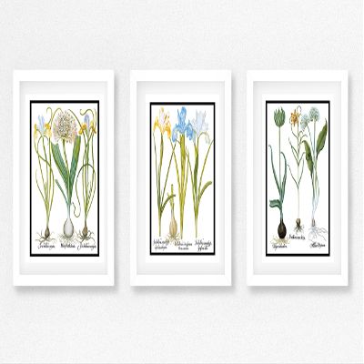 Picture Framed Wall Art Set, 3 Botanical Prints, Matted, Framed, Ready to Hang (White Frame, 12X16 Inch)