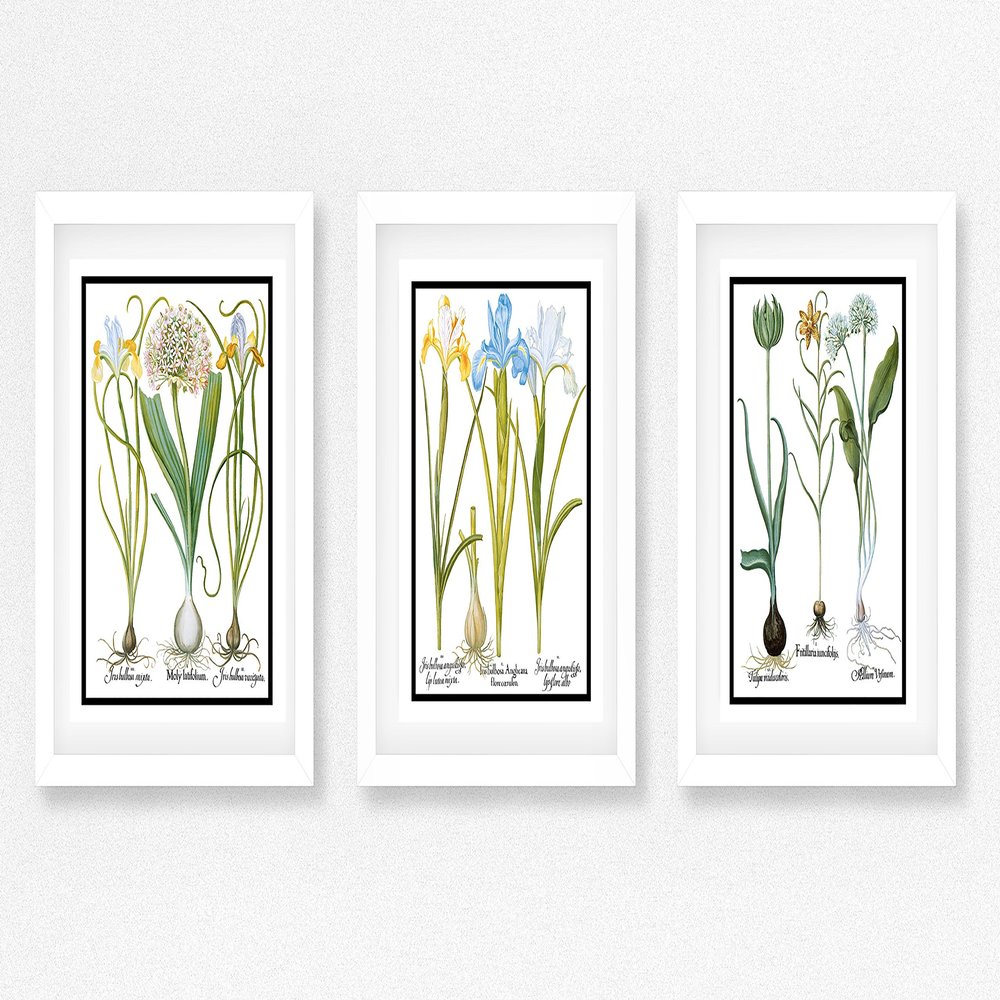 Picture Framed Wall Art Set, 3 Botanical Prints, Matted, Framed, Ready to Hang (White Frame, 12X16 Inch)