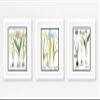 Picture Framed Wall Art Set, 3 Botanical Prints, Matted, Framed, Ready to Hang (White Frame, 12X16 Inch) view 1