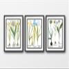 Picture Framed Wall Art Set, 3 Botanical Prints, Matted, Framed, Ready to Hang (White Frame, 12X16 Inch) view 2