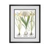 Picture Framed Wall Art Set, 3 Botanical Prints, Matted, Framed, Ready to Hang (White Frame, 12X16 Inch) view 3