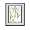 Picture Framed Wall Art Set, 3 Botanical Prints, Matted, Framed, Ready to Hang (White Frame, 12X16 Inch) view 4
