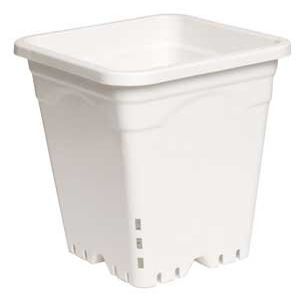 Raindrip 1/cs 12"x12" Square White Pot,