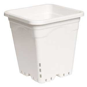 Raindrip 1/cs 12"x12" Square White Pot,