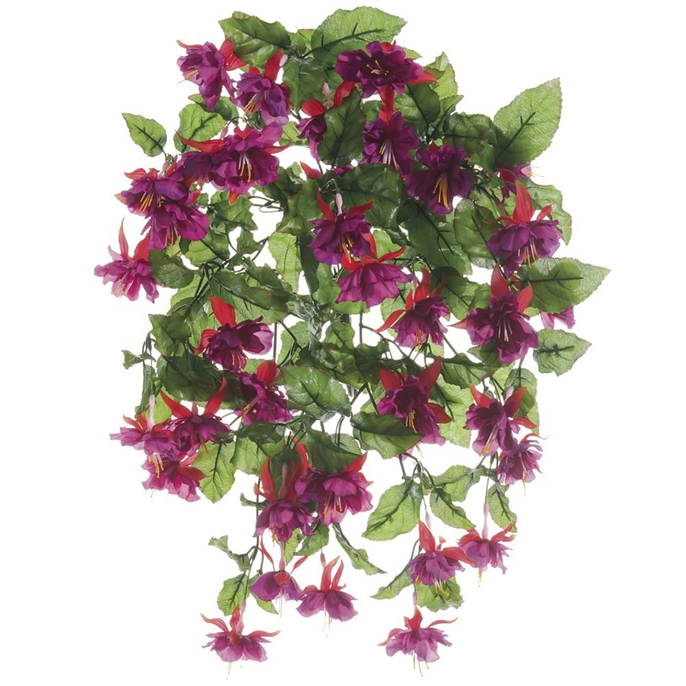 20" Fuchsia Hanging Bush x13 Violet Red (Pack of 6)