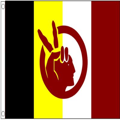 B&Y American Indian Movement AIM Equal Rights - 5'x3' (150cm x 90cm) Flag