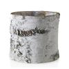 Afloral Natural Birch Bark Cylinder Vase - 8" Tall view 3