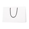 (Shimojima) Heiko Handbag, Paper Bags, Bright Bags, 17.7-13, Matte, White, 17.7 x 5.1 x 11.8 inches (45 x 13 x 30 view 1