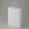 (Shimojima) Heiko MS1 Handbag, Paper Bag, 25CB 10.6 x 3.1 x 13.4 inches (27 x 8 x 34 cm), 50 Sheets view 2