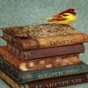 Buyartforless Birds On A Book Stack I 24x18 Giclee Art Print Poster Decorative by Jill Meyer view 1
