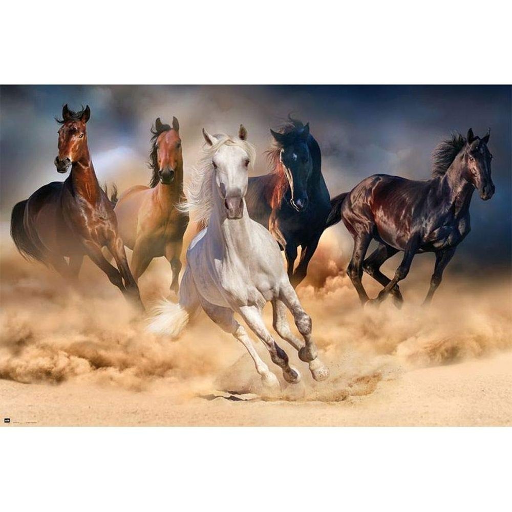 Grupo Erik editores Five Horses Poster, 61 x 91.5 cm