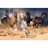 Grupo Erik editores Five Horses Poster, 61 x 91.5 cm view 1