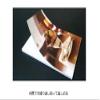 Fujifilm Shacolla Photo Panel, Pack of 5, L WD KABE-AL L, 5P view 3