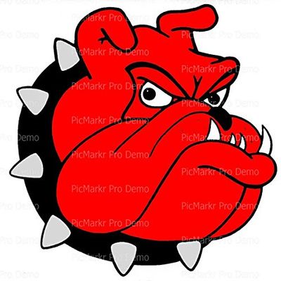 1/8 Sheet - Red Bulldog Mascot Birthday - Edible Cake/Cupcake Party Topper - D20473
