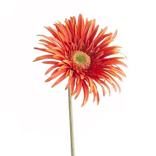 Factory Direct Craft Artificial Orange Spider Daisy Floral Embellishing Stems for Crafting, Creating and Embellishing