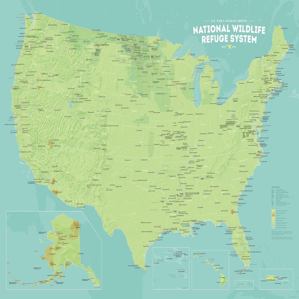 US National Wildlife Refuge System Map 24x36 Poster (Green & Aqua)
