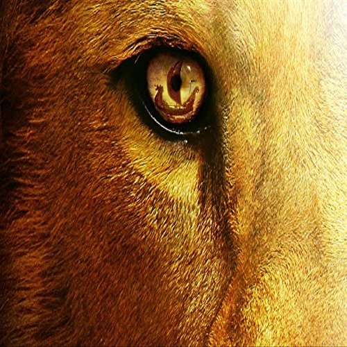 CHRONICLES OF NARNIA VOYAGE DAWN TREADER Fantasy Lion Eye Tv Movie Film Poster Fabric Silk Poster Print B0120-15