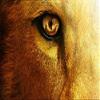 CHRONICLES OF NARNIA VOYAGE DAWN TREADER Fantasy Lion Eye Tv Movie Film Poster Fabric Silk Poster Print B0120-15 view 1