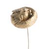 Factory Direct Craft Group of 12 Miniature Glitzy Metallic Gold Bird in Nest Picks for Embellishing Floral Arrangements, Crafts, and Favors view 1