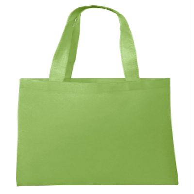 Eco Friendly Reusable Non-Woven Grocery Shopping Bag Ideal Standard Size (80, Lime)