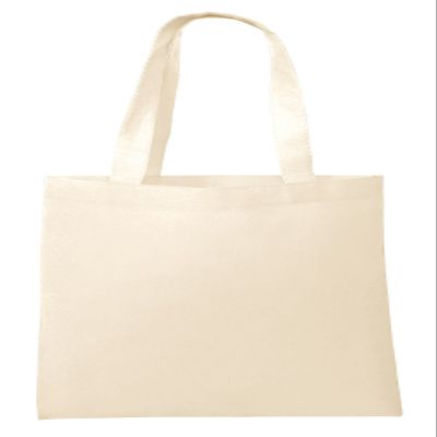 Eco Friendly Reusable Non-Woven Grocery Shopping Bag Ideal Standard Size (80, Natural)