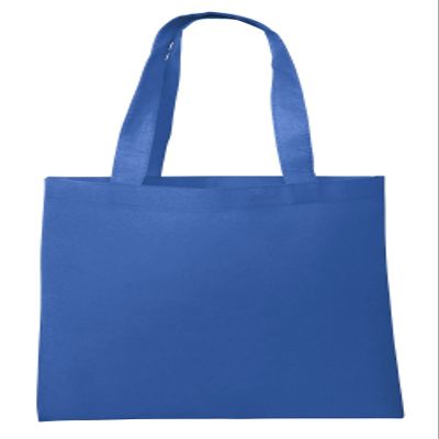 Eco Friendly Reusable Non-Woven Grocery Shopping Bag Ideal Standard Size (80, Royal)