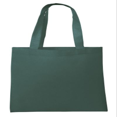 Eco Friendly Reusable Non-Woven Grocery Shopping Bag Ideal Standard Size (80, Hunter)