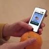 Greentest, High Accuracy Food Detector, Nitrate Tester for Fruit and Vegetable (Version 2, White, 1) view 4