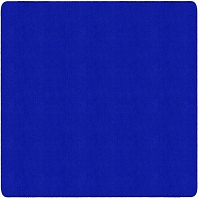 Flagship Carpets Americolors Collection Double Stitched and Serged Edges Carpet for Living Room, Bedroom, Entryway and Playroom Mat, 6' x 9', Solid Royal Blue