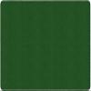 Flagship Carpets Americolors Collection Double Stitched and Serged Edges Carpet for Living Room, Bedroom, Entryway and Playroom Mat, 6' x 9', Solid Clover Green view 1