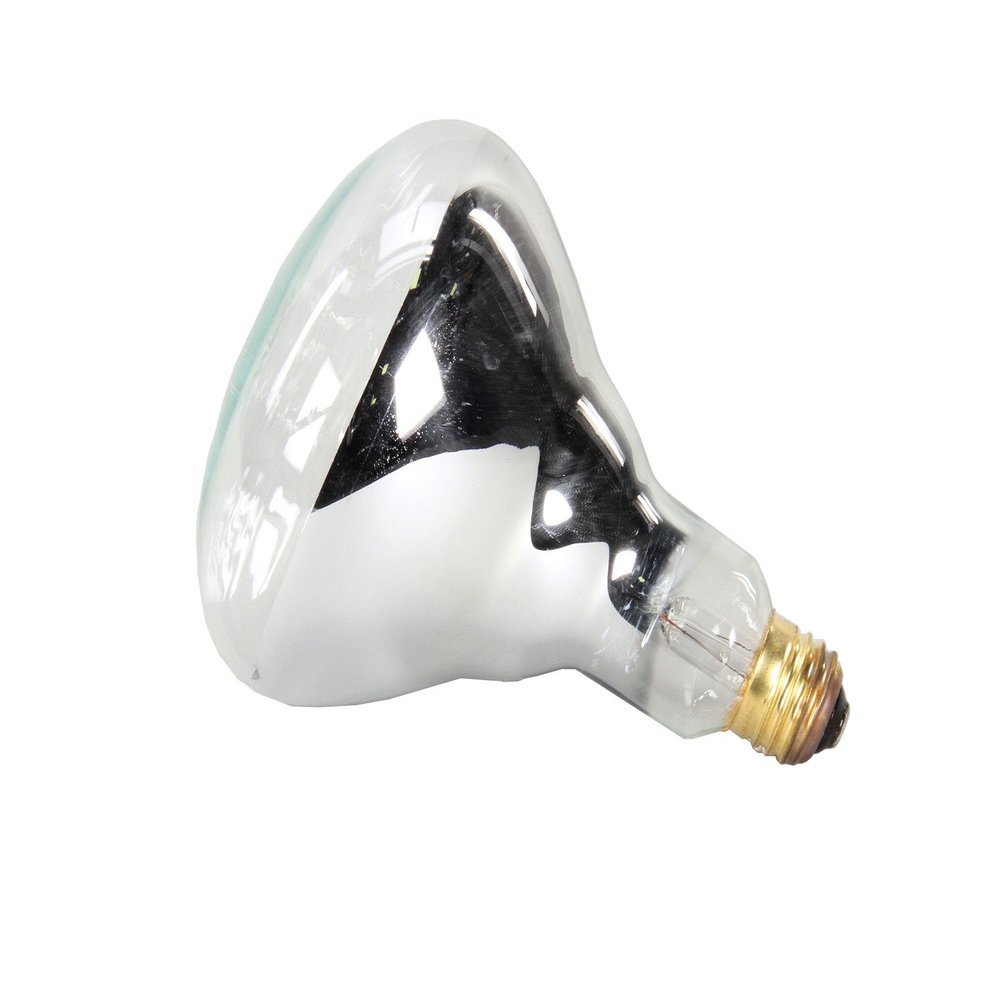 APW Wyott Lamp, 250W, Philips #250Br40/1 75410 - Genuine OEM Replacement Part
