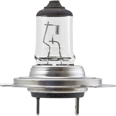 Hella H7 100W Bulb H7 12V 100W Px26D T4.6