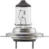 Hella H7 100W Bulb H7 12V 100W Px26D T4.6 view 1