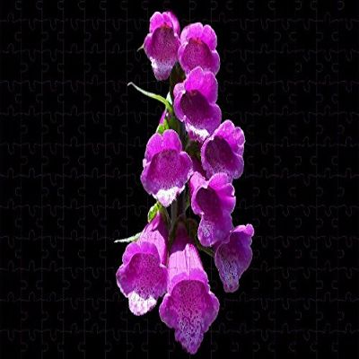 Plant Purple Orchid Flower Flower Fabric Silk Poster Print Home Decoration 84788