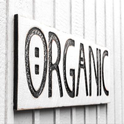 Organic Sign (Available in 3 Sizes) Long-Carved in Wood Board Rustic Distressed Advertisement Farmhouse Farmers Market Style Stand Wooden Kitchen Decor