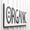 Organic Sign (Available in 3 Sizes) Long-Carved in Wood Board Rustic Distressed Advertisement Farmhouse Farmers Market Style Stand Wooden Kitchen Decor view 1