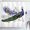 Ambesonne Peacock Shower Curtain, Male Peacock Feathers Springtime Wilderness Crowned Majestic Animal Pattern, Cloth Fabric Bathroom Decor Set with Hooks, 69" W x 84" L, Night Blue Charcoal Grey view 1