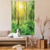Ambesonne Woodland Tapestry, Forest Springtime Freshness Theme Foliage Sunbeams Sunrise Nature View Scene, Wall Hanging for Bedroom Living Room Dorm Decor, 60" X 80", Green Yellow view 2