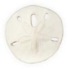 Angelstar 10167 Serenity Sentiment Decorative Sand Dollar, 1-1/4" view 2