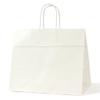  Pack Takeyama XZT00917 Handbag, Paper Bags, HV68, Bleached, 50 Sheets view 1