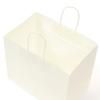  Pack Takeyama XZT00917 Handbag, Paper Bags, HV68, Bleached, 50 Sheets view 2