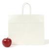  Pack Takeyama XZT00917 Handbag, Paper Bags, HV68, Bleached, 50 Sheets view 3