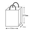  Pack Takeyama XZT00917 Handbag, Paper Bags, HV68, Bleached, 50 Sheets view 4