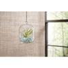 Mosser Lee ML2131 Crystal Gems, 2.2 lb, Chrystal view 4