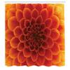 Ambesonne Abstract Shower Curtain, Abstract Flower and Petals Seasonal Blossom Closeup View Gardening Bedding Plant, Cloth Fabric Bathroom Decor Set with Hooks, 69" W x 75" L, Orange Red view 2