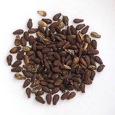 ShubhBhakti Shivlingi Beej - Bryonia laciniosa seed - 50 Grams