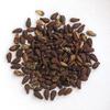 ShubhBhakti Shivlingi Beej - Bryonia laciniosa seed - 50 Grams view 1