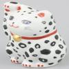 (Aito) Kutani Ware A-0094 Maneki Neko No. 3.3 Leopard view 2