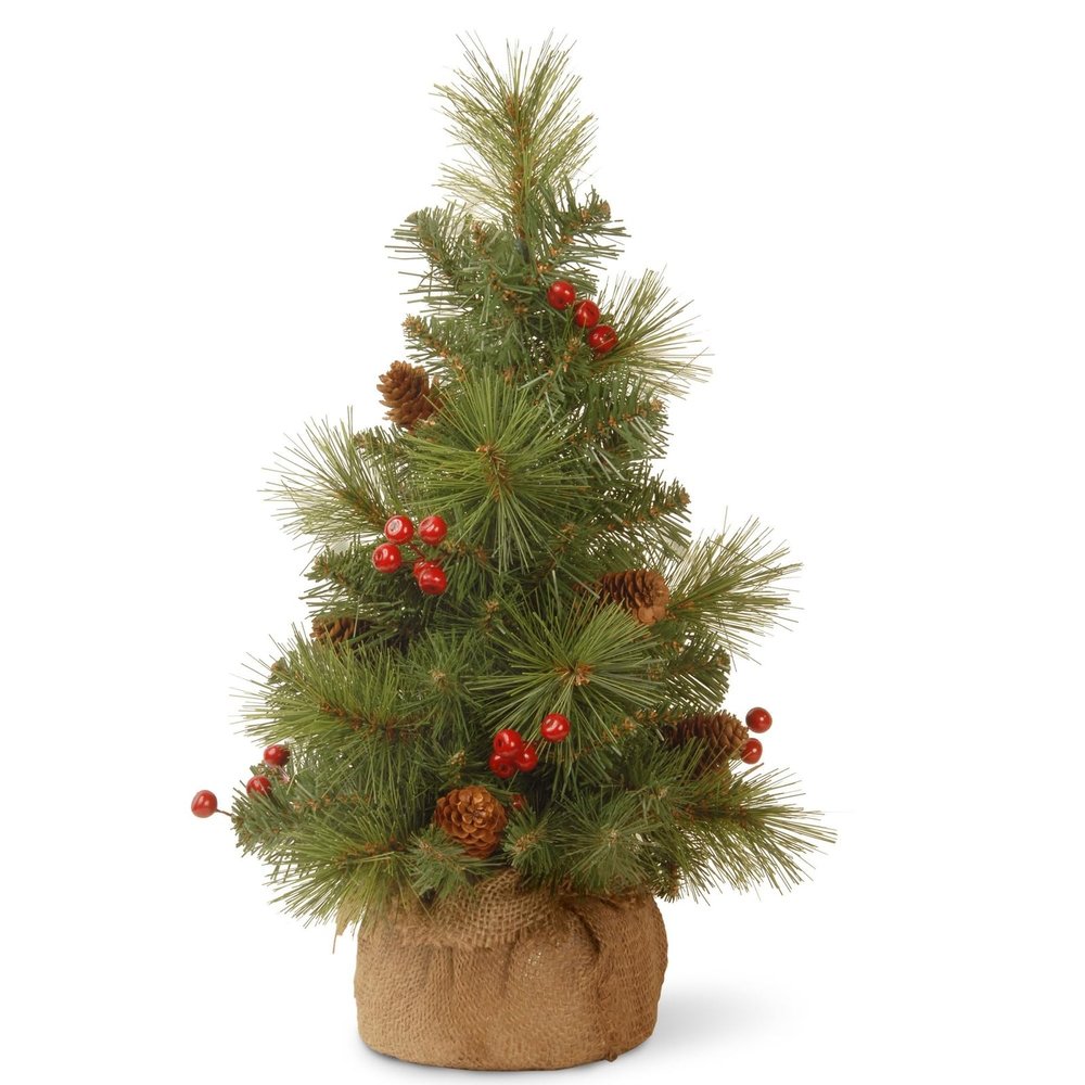 National Tree 18 Inch Everyday Collection Mini Pine Cone and Berry Tree in Burlap (ED7-703-18-1)